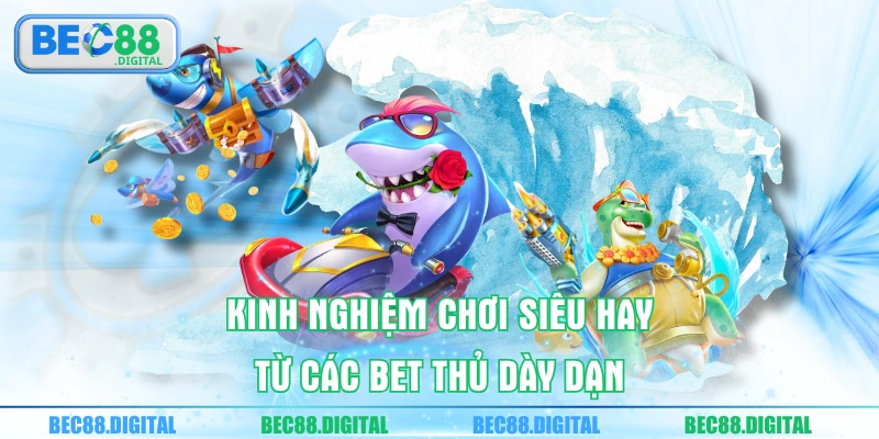 Kinh nghiệm chơi siêu hay từ các bet thủ dày dạn 